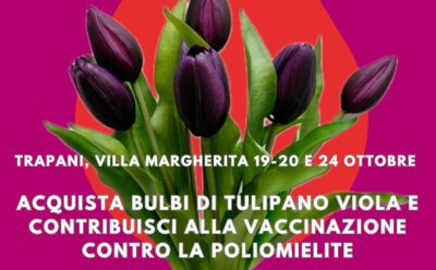 TULIPOLIO – Tulipani contro la Polio