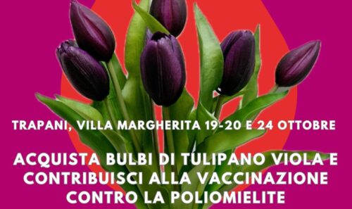 TULIPOLIO – Tulipani contro la Polio