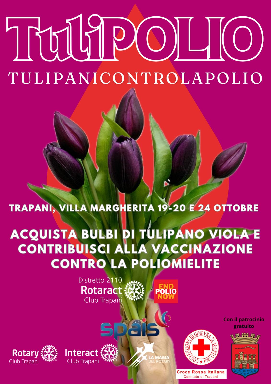 TULIPOLIO – Tulipani contro la Polio